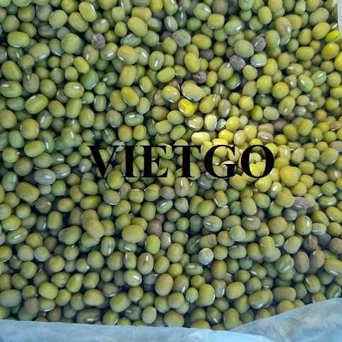 Thương vụ xuất khẩu đậu xanh sang thị trường Indonesia