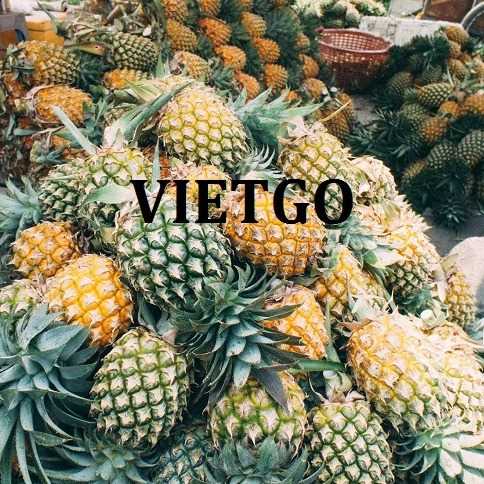Thương vụ xuất khẩu dứa tươi đến thị trường Ả Rập Xê Út