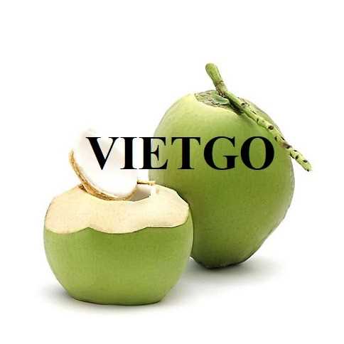 Thương vụ xuất khẩu dừa tươi sang thị trường UAE và Thổ Nhĩ Kỳ