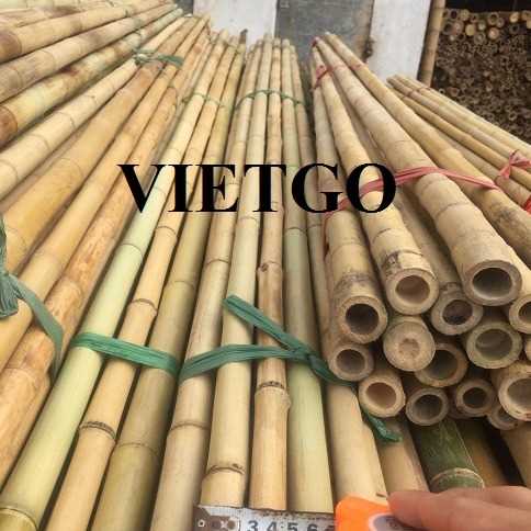 Thương vụ xuất khẩu gậy tre sang thị trường Ả Rập Xê Út