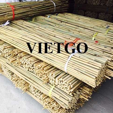 Thương vụ xuất khẩu gậy tre sang thị trường UAE