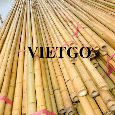 Thương vụ xuất khẩu gậy tre tới thị trường Ý