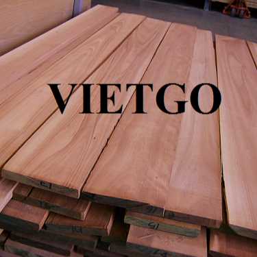 Thương vụ xuất khẩu gỗ bạch đàn xẻ sang thị trường Tây Ban Nha