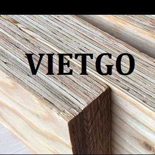 Thương vụ xuất khẩu gỗ dán LVL sang thị trường UAE