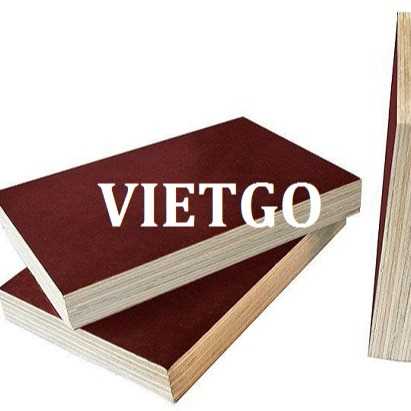 Thương vụ xuất khẩu gỗ dán phủ phim sang thị trường Ấn Độ