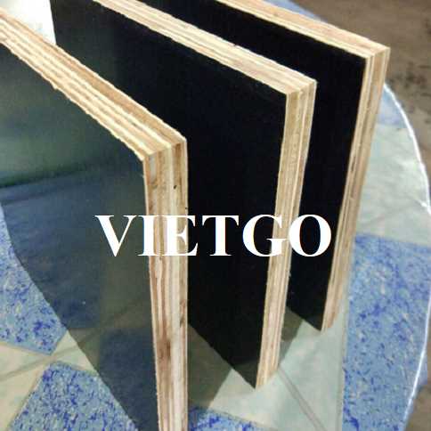 Thương vụ xuất khẩu gỗ dán phủ phim sang thị trường Thổ Nhĩ Kỳ 