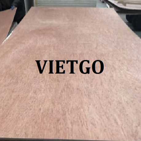 (Cập nhật đơn hàng) Thương vụ xuất khẩu gỗ dán sang thị trường Ấn Độ