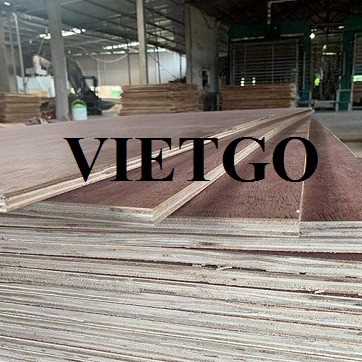 Thương vụ xuất khẩu gỗ dán sang thị trường Ấn Độ