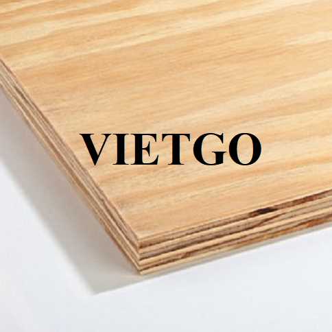 Thương vụ xuất khẩu gỗ dán sang thị trường Ấn Độ