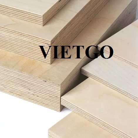 Thương vụ xuất khẩu gỗ dán sang thị trường Ba Lan
