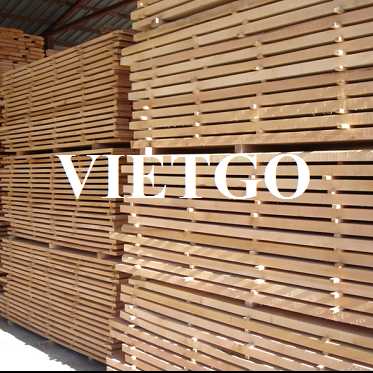 Thương vụ xuất khẩu gỗ dẻ gai xẻ sang thị trường Croatia