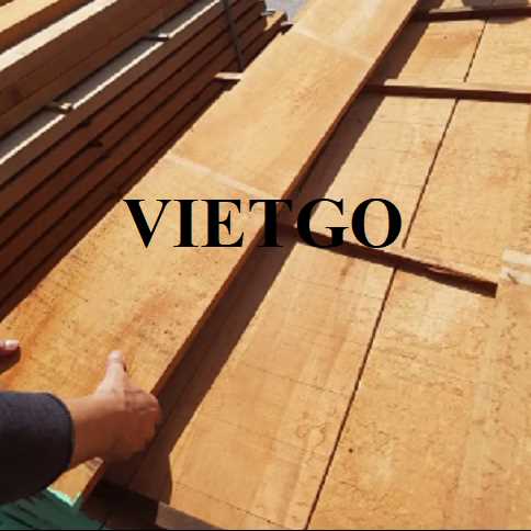 Thương vụ xuất khẩu gỗ dẻ gai xẻ sang thị trường Malaysia