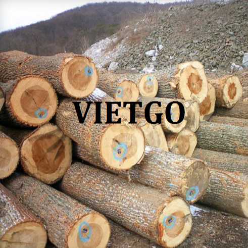 Thương vụ xuất khẩu gỗ dương tròn sang thị trường Ý