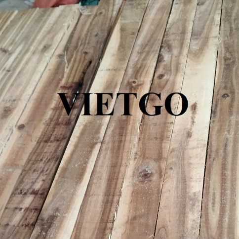 Thương vụ xuất khẩu gỗ keo xẻ sang thị trường Ai Cập