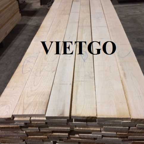 Thương vụ xuất khẩu gỗ tần bì xẻ sang thị trường Latvia