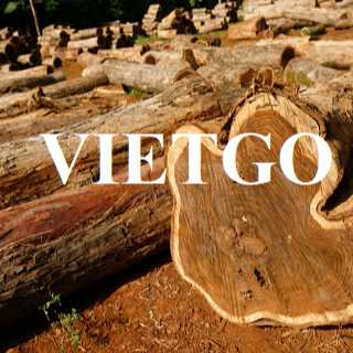 Thương vụ xuất khẩu gỗ teak tròn sang thị trường Malaysia