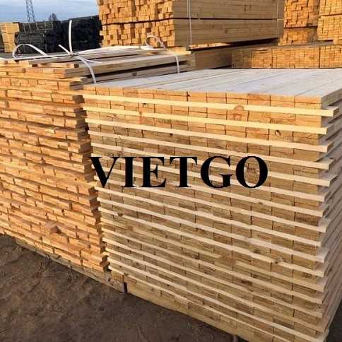 Thương vụ xuất khẩu gỗ thông xẻ sang thị trường Romania