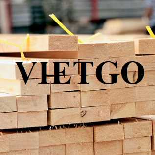 Thương vụ xuất khẩu gỗ thông xẻ sang thị trường Úc