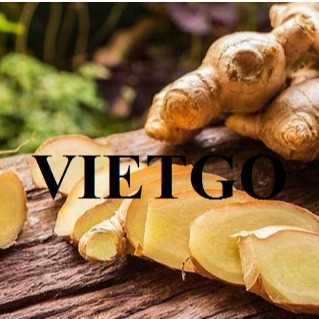 Thương vụ xuất khẩu gừng tươi sang thị trường Thái Lan