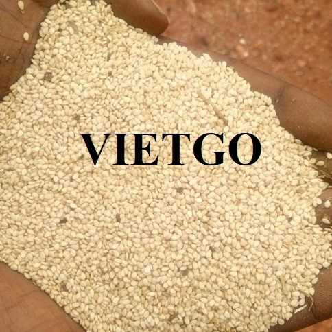 Thương vụ xuất khẩu hạt mè sang thị trường Ả Rập Xê Út