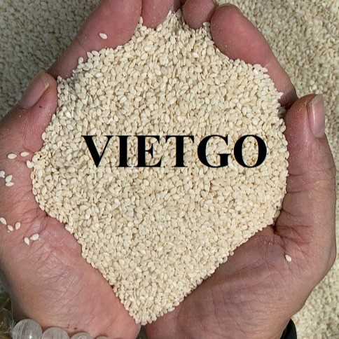 Thương vụ xuất khẩu hạt mè sang thị trường Lào