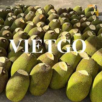 Thương vụ xuất khẩu mít sang thị trường UAE và Hoa Kỳ