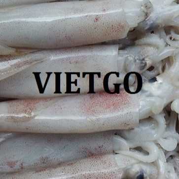 Thương vụ xuất khẩu mực ống tươi sang thị trường Qatar