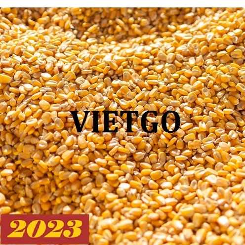 Thương vụ xuất khẩu ngô hạt cả năm sang thị trường Trung Quốc