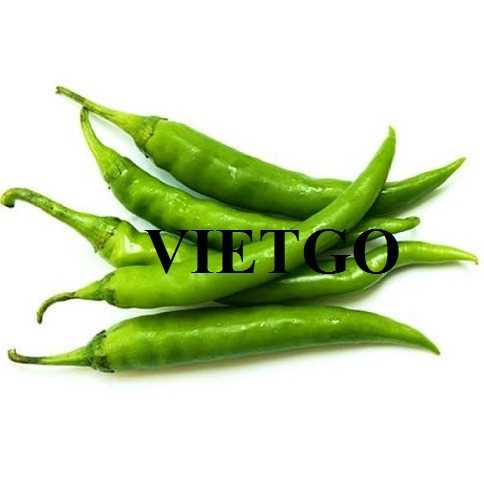 Thương vụ xuất khẩu ớt tươi sang thị trường Macedonia
