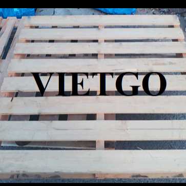 Thương vụ xuất khẩu pallet gỗ sang thị trường Ai Cập