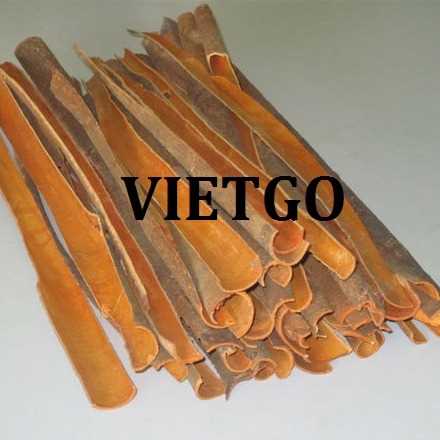 Thương vụ xuất khẩu quế chẻ sang thị trường Ấn Độ