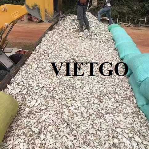 Thương vụ xuất khẩu sắn lát khô sang thị trường Trung Quốc