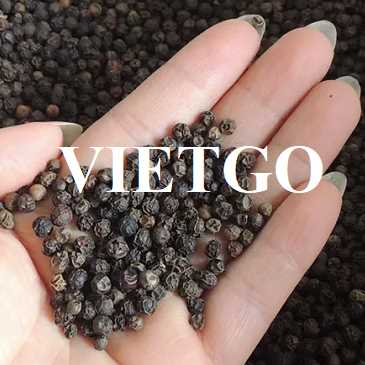 Thương vụ xuất khẩu sản phẩm tiêu đen sang thị trường Ấn Độ
