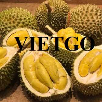 Thương vụ xuất khẩu sầu riêng tươi sang thị trường Trung Quốc