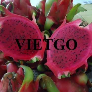 Thương vụ xuất khẩu thanh long đến thị trường Sri Lanka