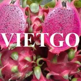 Thương vụ xuất khẩu thanh long sang thị trường Tây Ban Nha