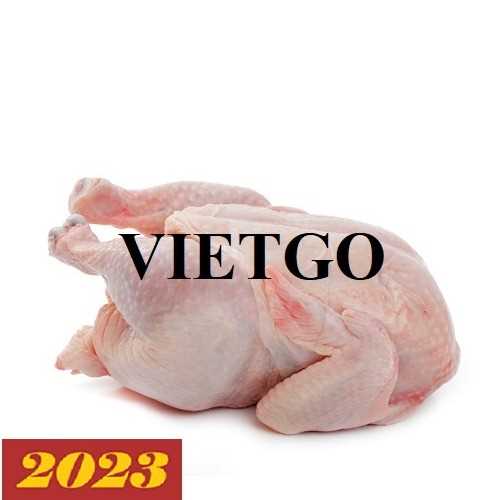 Thương vụ xuất khẩu thịt gà sang thị trường Trung Quốc và Singapore