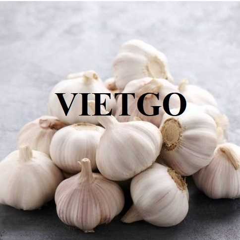 Thương vụ xuất khẩu tỏi trắng đến thị trường Ả Rập Xê Út