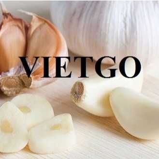 Thương vụ xuất khẩu tỏi trắng hàng tuần sang thị trường Bangladesh