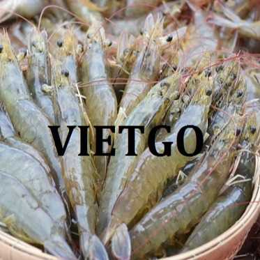 Thương vụ xuất khẩu tôm tươi sang thị trường Qatar