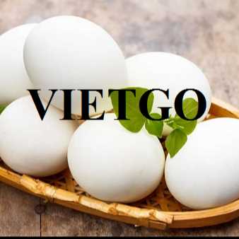 Thương vụ xuất khẩu trứng gà đến từ vị khách hàng người Iraq