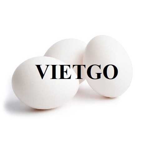 Thương vụ xuất khẩu trứng gà sang thị trường UAE