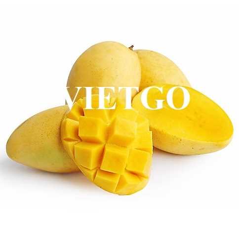 Thương vụ xuất khẩu xoài sang thị trường Thổ Nhĩ Kỳ