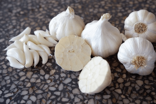 White garlic