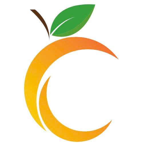 IO TRADING GROUP CO., LTD