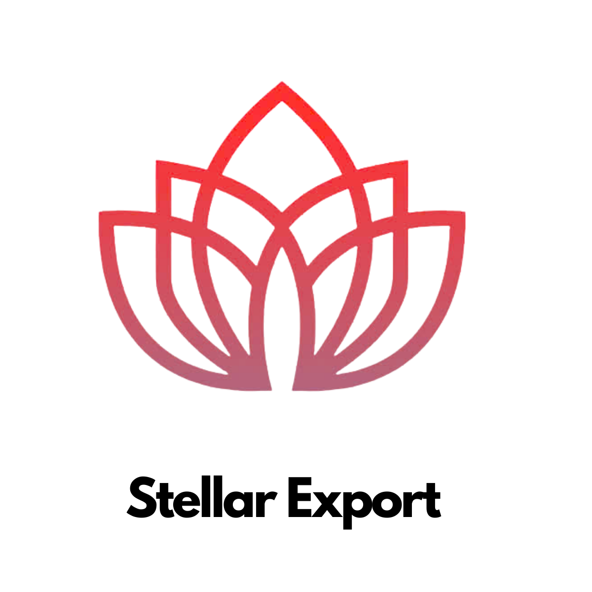 Stellar Import Export Company Limited