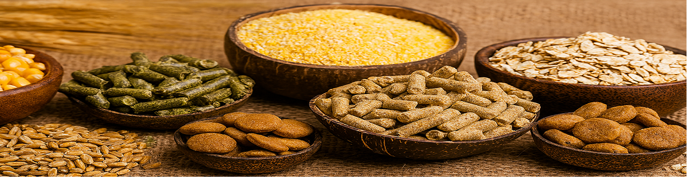 VietFinest Horizon Co., Ltd.